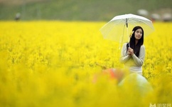 丰满老熟妇BBBBB搡BBB